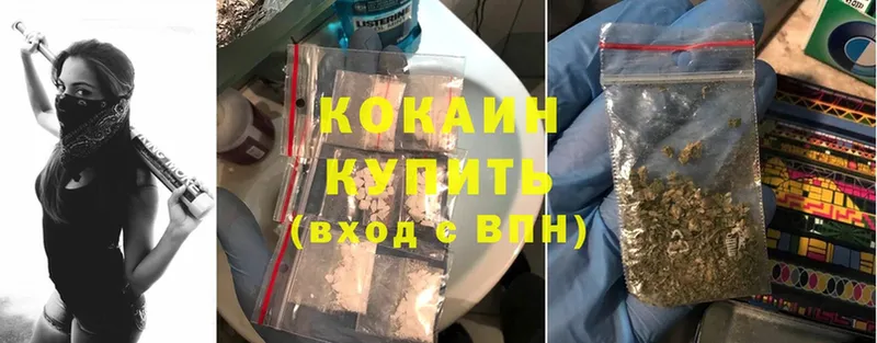 Cocaine Эквадор  наркотики  дарк нет как зайти  Губкин 